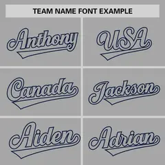 Gray-Navy Raglan Sleeves Authentic Baseball Jersey 3