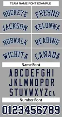 Gray Navy-White Classic Two-Button Softball Jersey 3