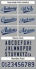 Gray Navy-White Classic Two-Button Softball Jersey 3
