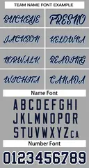 Gray Navy-White Classic Two-Button Softball Jersey 3