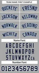 Gray Navy-White Classic Two-Button Softball Jersey 3