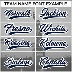Gray Navy-White New York City Skyline Baseball Jersey 3