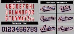 Gray Navy-White Stripe Raglan Baseball Jersey 3