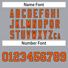 Gray Orange-Black Classic Hockey Jersey 3