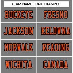 Gray Orange-Black Classic Style Authentic Football Jersey 3