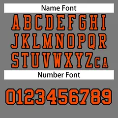Gray Orange-Black Classic Style Authentic Football Jersey 4