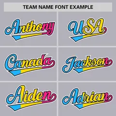 Gray Pansexuality Pride Month Authentic Baseball Jersey 3