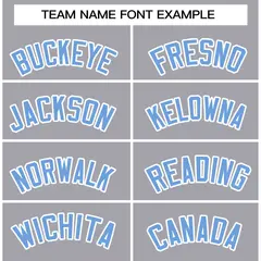 Gray Powder Blue-White Varsity Full-Snap Letterman Jacket 3