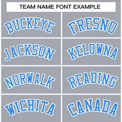 Gray Powder Blue-White Varsity Full-Snap Letterman Jacket 5
