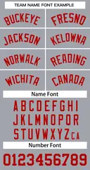 Gray Red Classic Team Basketball Jersey 3