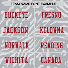 Gray Red-Gray Zebra Stripes Authentic Football Jersey 3