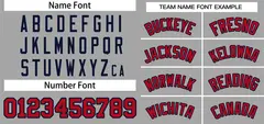 Gray Red-Navy Classic Striped Two-Button Softball Jersey 3