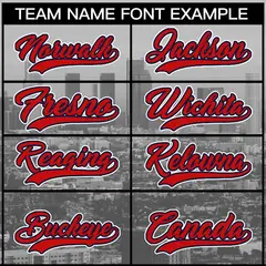 Gray Red-Navy Los Angeles City Skyline Baseball Jersey 3