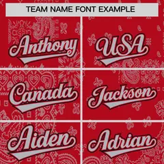 Gray Red White Cashew Flower Graffiti V-Neck Hockey Jersey 3