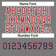Gray Red-White Classic Style Authentic Football Jersey 4