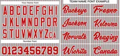 Gray Red-White Stripe Authentic Fashion Baseball Jersey 3