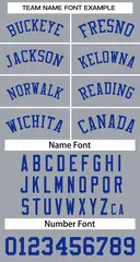 Gray Royal Classic Basketball Jersey 3