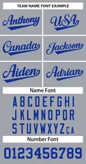 Gray Royal Classic Basketball Jersey 3