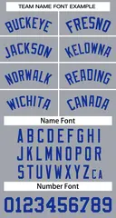 Gray Royal Classic Basketball Jersey 3