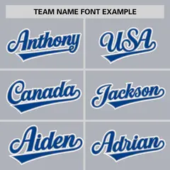 Gray Royal Half Stripe Authentic Baseball Jersey 3