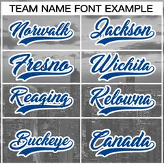 Gray Royal-White Chicago City Skyline Baseball Jersey 3