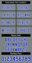 Gray Royal-White Classic Style Authentic Football Jersey 5