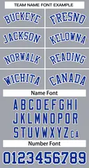 Gray Royal-White Classic Team Basketball Jersey 3