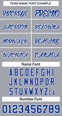 Gray Royal-White Classic Team Basketball Jersey 3