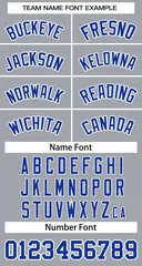 Gray Royal-White Classic Team Basketball Jersey 3