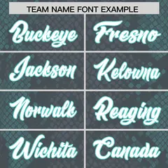 Gray Snakeskin Graffiti Pattern Authentic Football Jersey 3