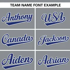 Gray Stand Collar Classic Authentic Baseball Jersey 3