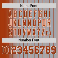 Gray Texas Orange Gradient Pinstripe Full-Snap Letterman Jacket 4