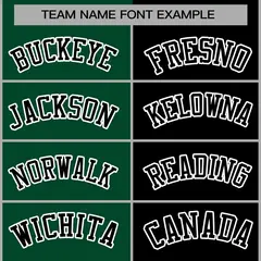 Green Black-Black Two Tone Split Varsity Letterman Jacket 5