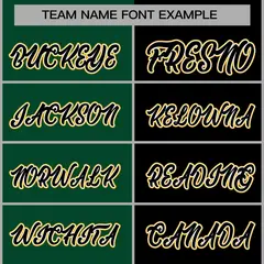 Green Black-Black Two Tone Split Varsity Letterman Jacket 5