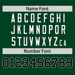 Green Black Raglan Round-Neck Hockey Jersey 4