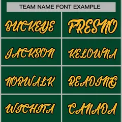 Green Gold-Black Classic Varsity Full-Snap Letterman Jacket 5
