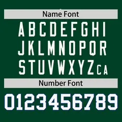 Green Gold-White Raglan V-Neck Hockey Jersey 4