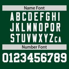 Green Gray Raglan Round-Neck Hockey Jersey 4