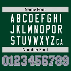 Green Gray-White Raglan Sleeves Authentic Baseball Jersey 4