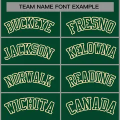 Green Green-Khaki Raglan Varsity Full-Snap Letterman Jacket 5