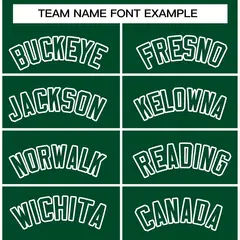 Green Green-White Classic Varsity Full-Snap Letterman Jacket 3