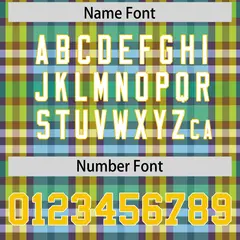 Green Plaid Pattern Authentic Football Jersey 4