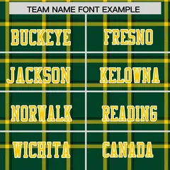 Green Plaid Pattern Authentic Football Jersey 3