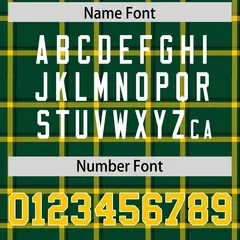 Green Plaid Pattern Authentic Football Jersey 4