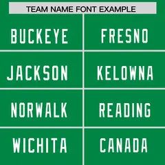 Green White-Black Classic Mesh Authentic Football Jersey 3