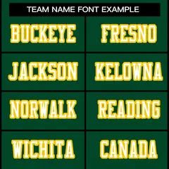 Green White-Gold Classic Style Authentic Football Jersey 3