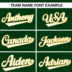 Green White-Gold Varsity Letterman Bomber Full-Zip Jacket 5
