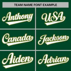 Green White-Green Raglan Varsity Full-Snap Letterman Jacket 3