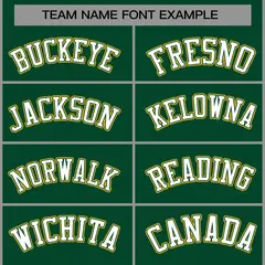 Green White-Green Raglan Varsity Full-Snap Letterman Jacket 5