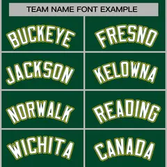 Green White-Green Raglan Varsity Full-Snap Letterman Jacket 5